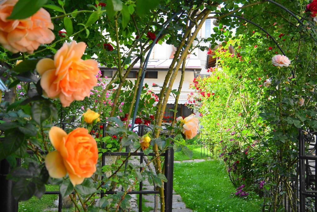 Residenza Dutzu-Boutique Hotel Brăila Exterior foto