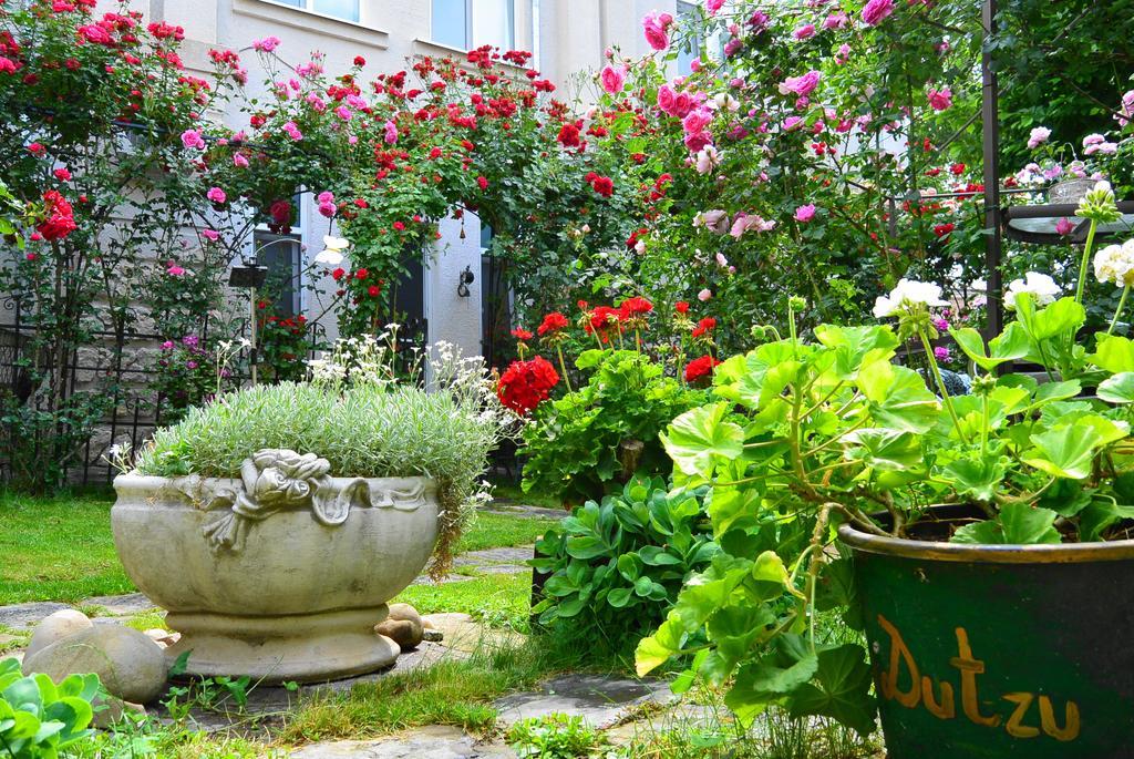 Residenza Dutzu-Boutique Hotel Brăila Exterior foto