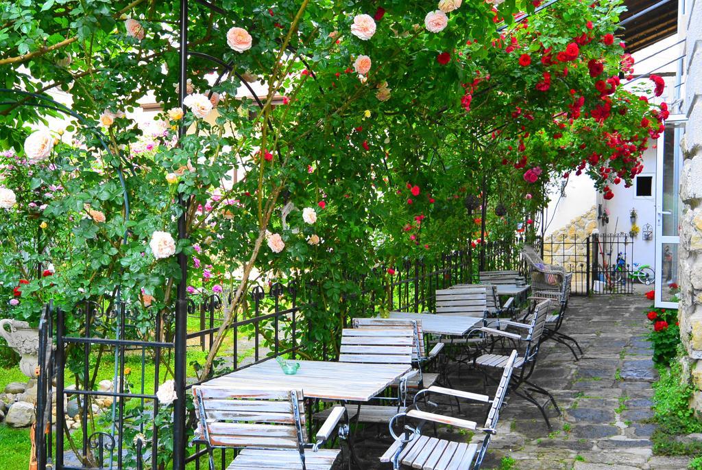 Residenza Dutzu-Boutique Hotel Brăila Exterior foto