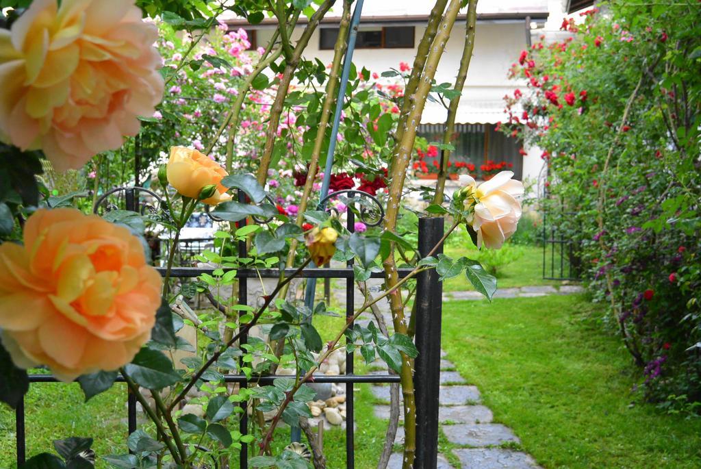 Residenza Dutzu-Boutique Hotel Brăila Exterior foto
