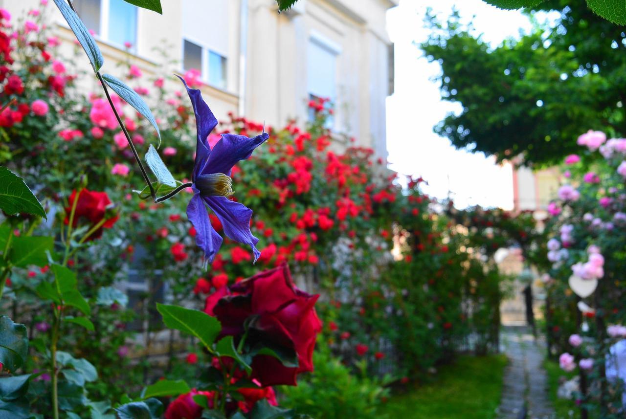 Residenza Dutzu-Boutique Hotel Brăila Exterior foto